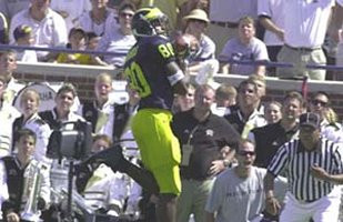 Braylon Edwards (80)