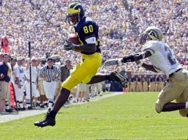 Braylon Edwards (80)