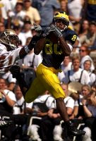 Braylon Edwards (80)