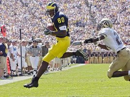 Braylon Edwards (80)