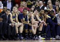 Michigan Team