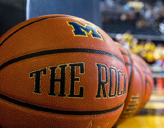 Michigan Basketballs