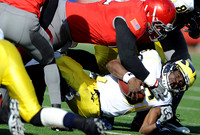 Denard Robinson (16)