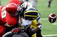 Denard Robinson (16)