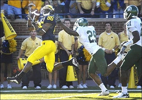 Mario Manningham