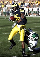 Mario Manningham