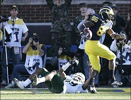 Mario Manningham