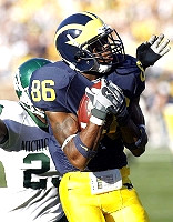 Mario Manningham