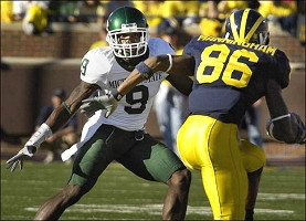 Mario Manningham