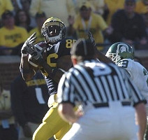 Mario Manningham