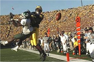 Mario Manningham