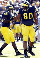 David Harris and Alan Branch