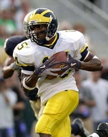 Steve Breaston (15)