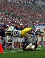 Steve Breaston (15)