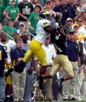 Braylon Edwards (1)