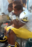 Braylon Edwards (1)