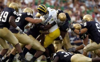 Braylon Edwards (1)