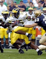 Steve Breaston (15)