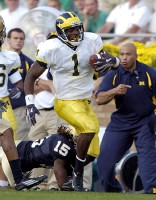 Braylon Edwards (1)