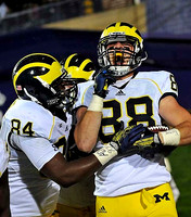 2013 Season