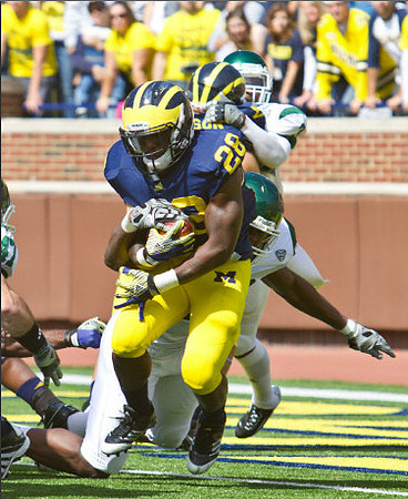 Fitzgerald Toussaint (28)