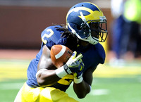 Vincent Smith (2)