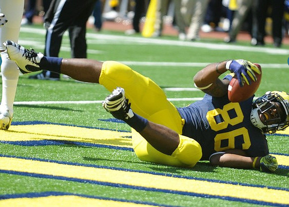 Denard Robinson (16)