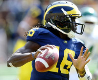 Denard Robinson (16)