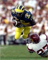 Steve Breaston (15)