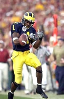 Braylon Edwards (1)