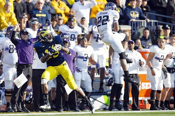 Devin Funchess (19)