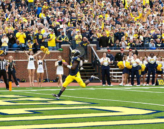 Denard Robinson (16)