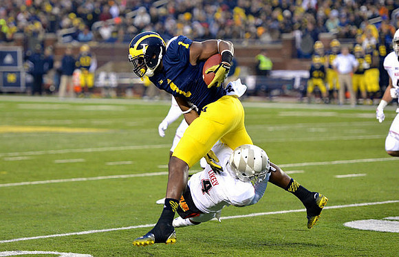 Devin Funchess (1)