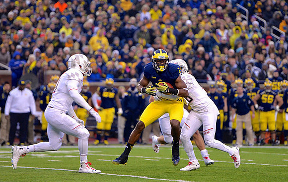 Devin Funchess (1)