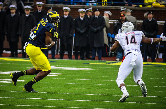 Devin Funchess (1)