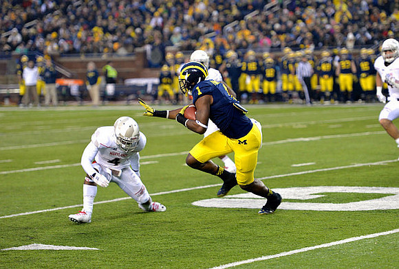 Devin Funchess (1)