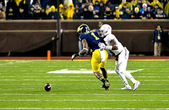 Devin Funchess (1)