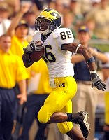 Mario Manningham