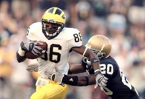 Mario Manningham