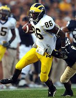 Mario Manningham