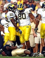 Jamar Adams, Alan Branch, and Shawn Crable