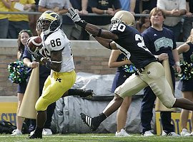 Mario Manningham