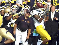 Mario Manningham