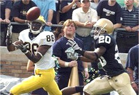 Mario Manningham