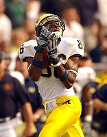 Mario Manningham