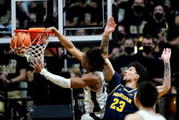 Brandon Johns Jr. (23)