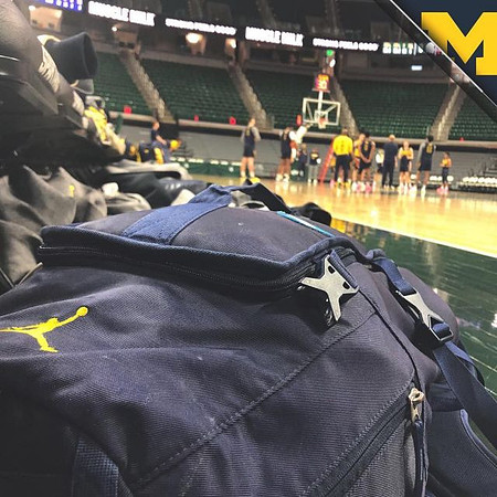 Michigan Team