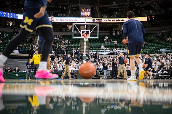 Michigan Team