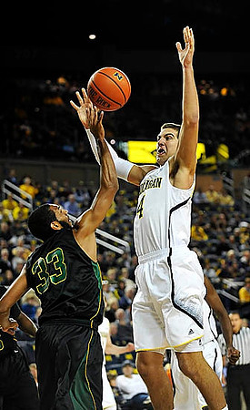 Mitch McGary (4)