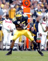 Steve Breaston (15)